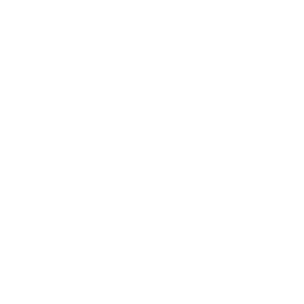 Our Roofs Are Steel